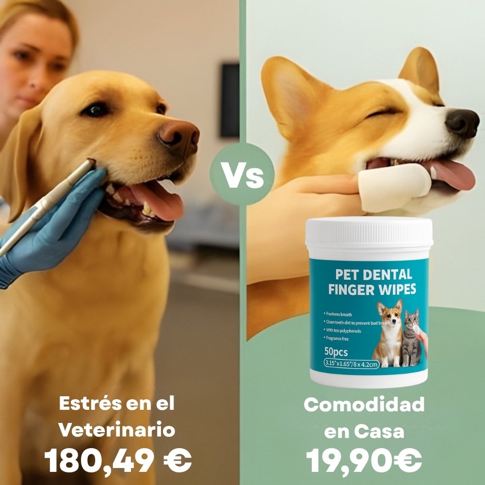 DentaFresh - Toallitas de Limpieza y Protección Dental para Perros