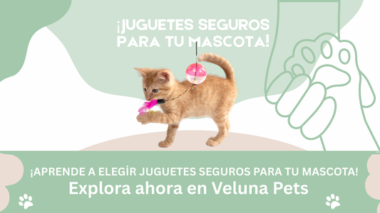 Características a Buscar en un Juguete para Mascotas Seguro y Duradero