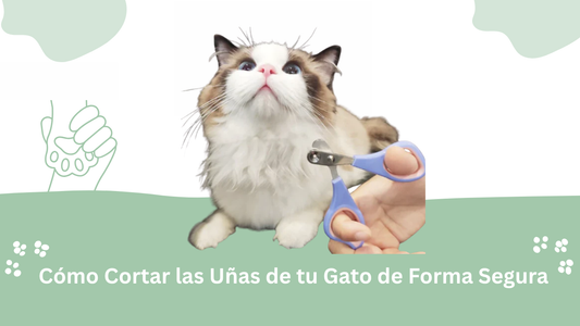 Cómo Cortar las Uñas de tu Gato de Forma Segura