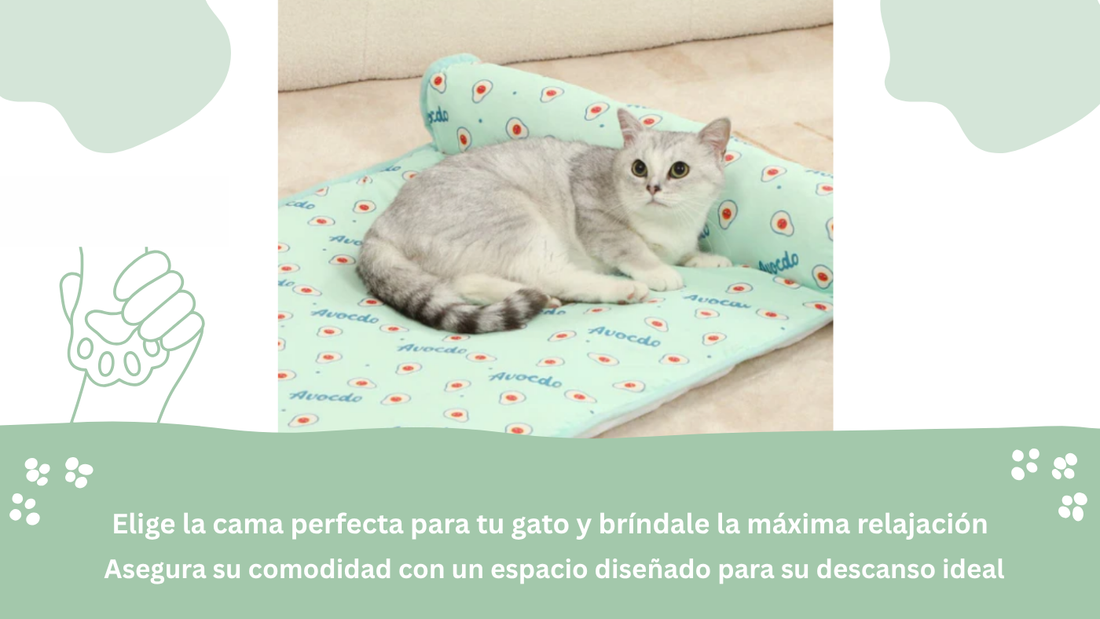 Los Mejores Tipos de Camas para Gatos según sus Estilos de Dormir