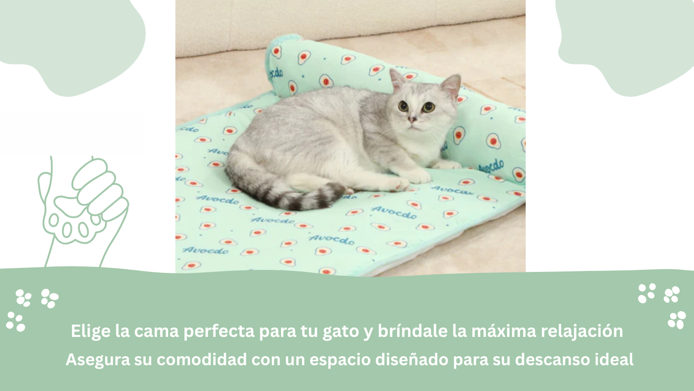 Los Mejores Tipos de Camas para Gatos según sus Estilos de Dormir