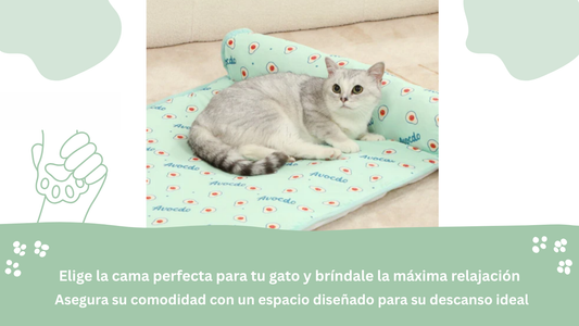 Los Mejores Tipos de Camas para Gatos según sus Estilos de Dormir