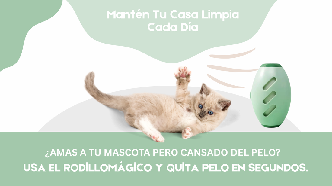 Los Mejores Quitapelos de Mascotas, Probados y Reseñados