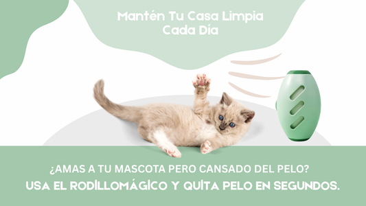 Los Mejores Quitapelos de Mascotas, Probados y Reseñados