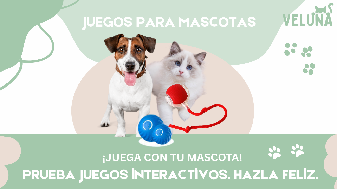Principales Beneficios del Juego Interactivo para Perros y Gatos