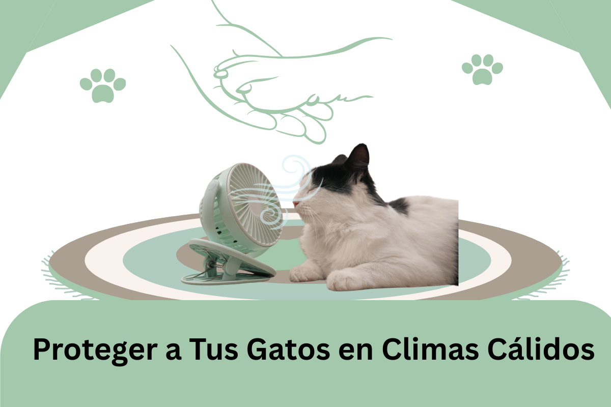 Cómo Proteger a los Gatos en Clima Caluroso
