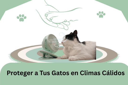 Cómo Proteger a los Gatos en Clima Caluroso