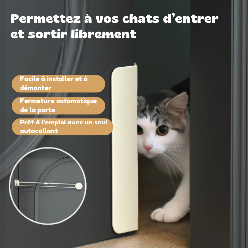 Puerta sin perforación para gatos