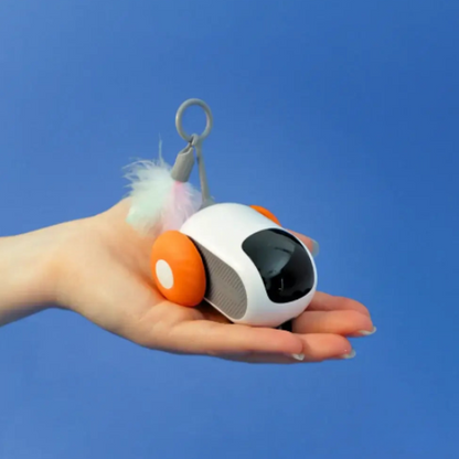 Juguete interactivo teledirigido para gatos