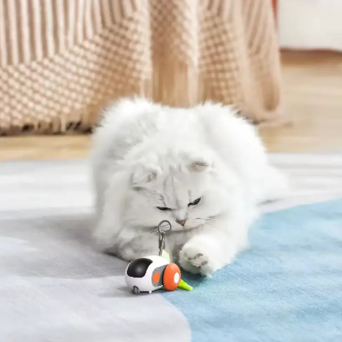 Juguete interactivo teledirigido para gatos