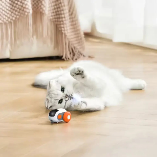 Juguete interactivo teledirigido para gatos