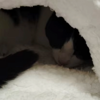 Bolsita acogedora y cómoda para gatos