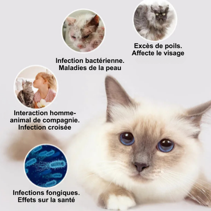 Cepillo de esterilización para un pelaje suave y saludable