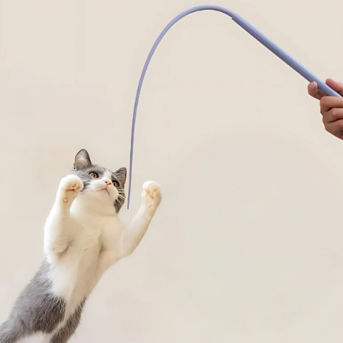 Bastón de juego interactivo para gatos
