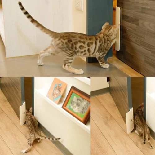 Puerta sin perforación para gatos