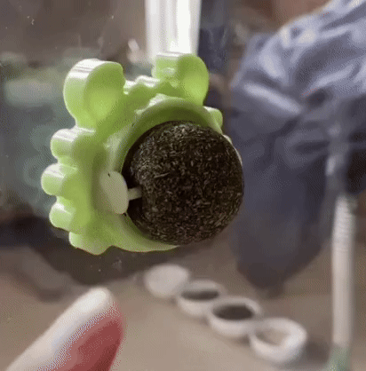 Bola mural con hierba gatera