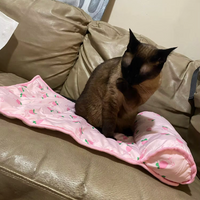 Alfombra mullida y relajante para gato