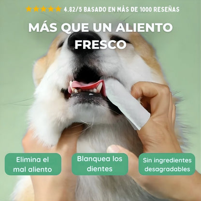 DentaFresh - Toallitas de Limpieza y Protección Dental para Perros