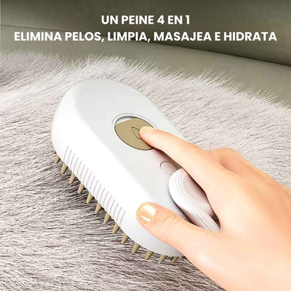 Steam brush upsell