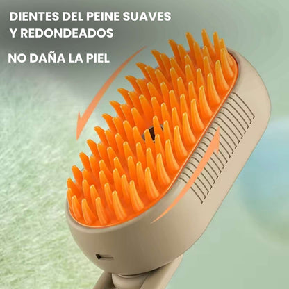 Steam brush upsell