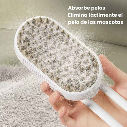 Steam brush upsell