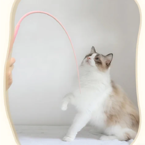 Bastón de juego interactivo para gatos