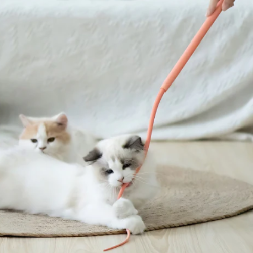 Bastón de juego interactivo para gatos