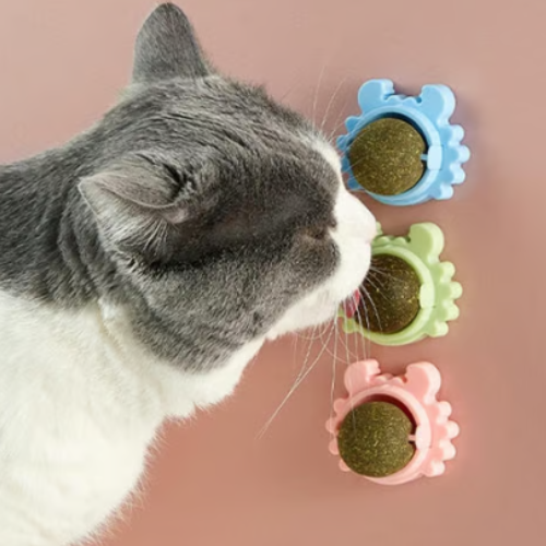 Bola mural con hierba gatera