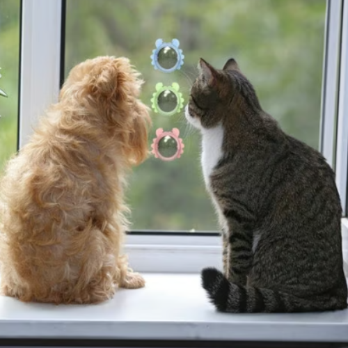 Bola mural con hierba gatera