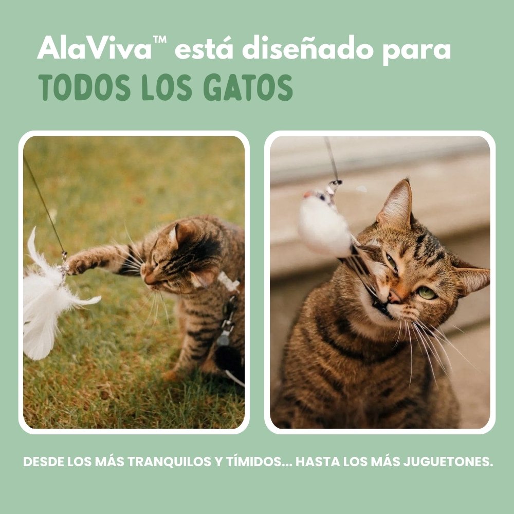 ALAVIVA – Juguete interactivo para gatos, con plumas, suspendido y que rebota