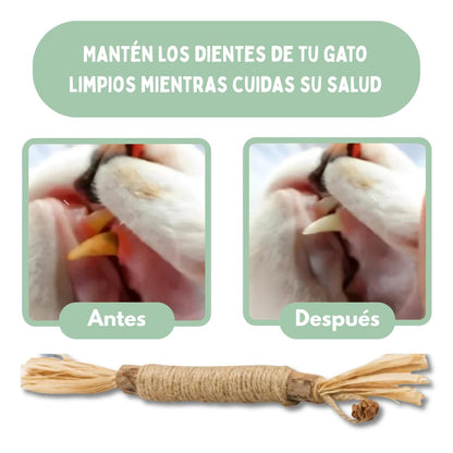 DentaSticks - Palitos Dentales de Silvervine para Gatos
