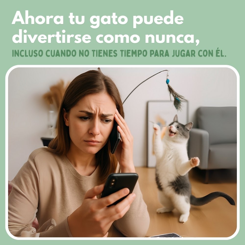 ALAVIVA – Juguete interactivo para gatos, con plumas, suspendido y que rebota