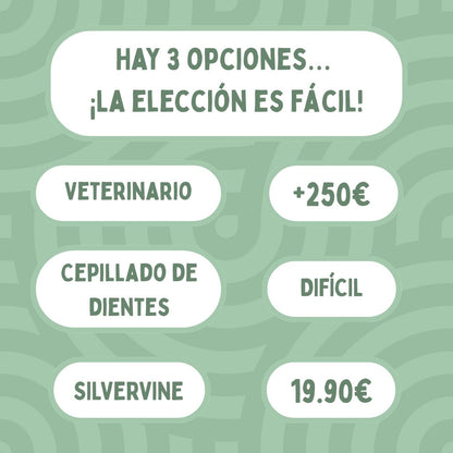 DentaSticks - Palitos Dentales de Silvervine para Gatos