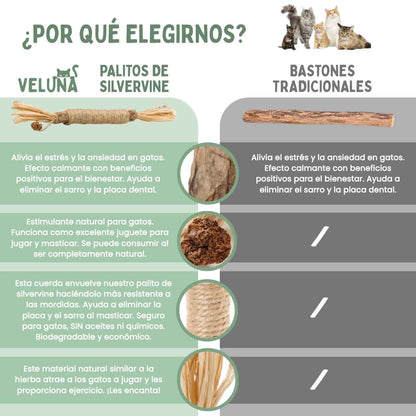 DentaSticks - Palitos Dentales de Silvervine para Gatos