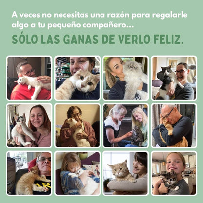 ALAVIVA – Juguete interactivo para gatos, con plumas, suspendido y que rebota