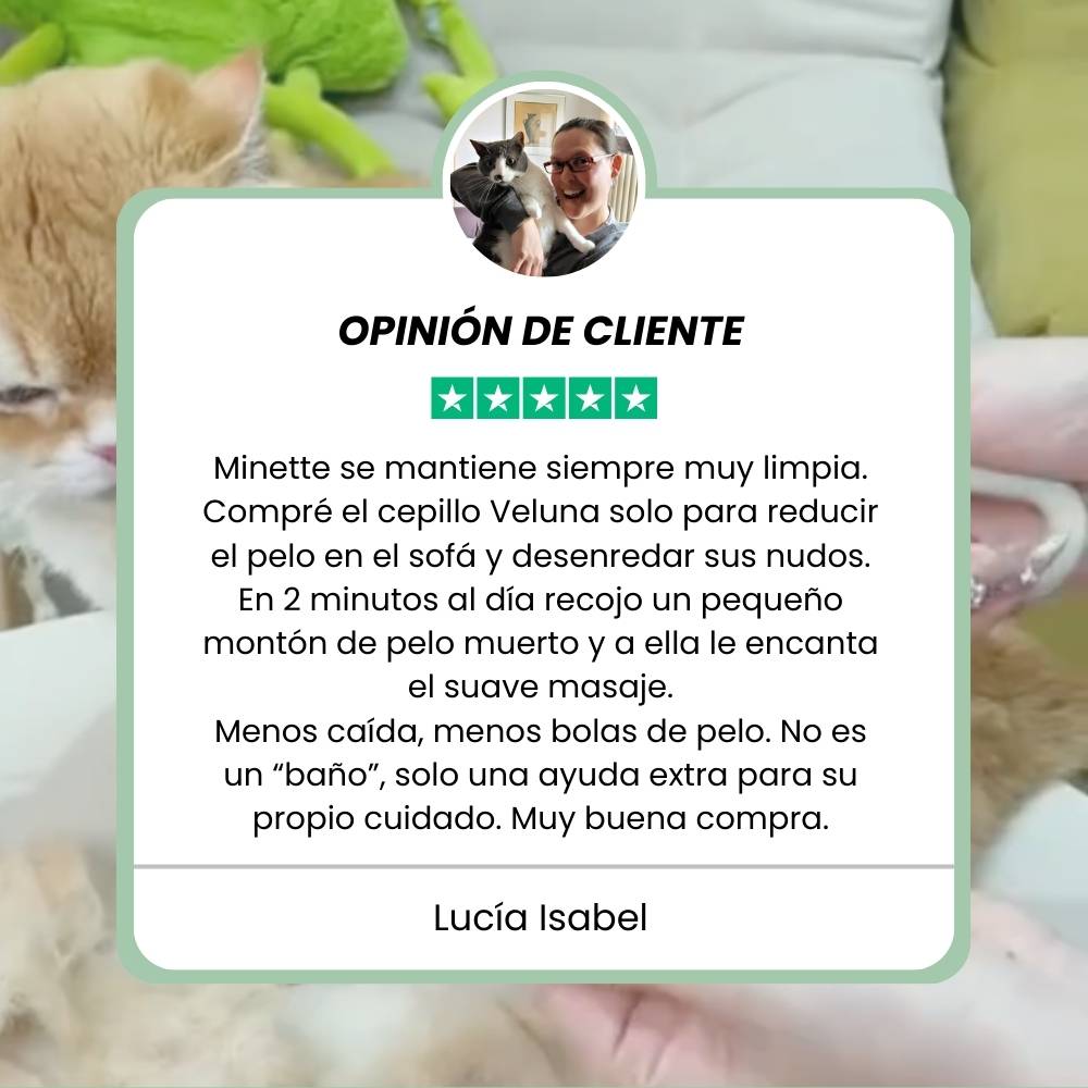 Cepillo de Vapor Multifuncional 4 en 1 para gatos