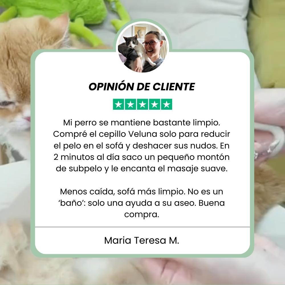 Cepillo de vapor multifuncional 4 en 1 para perros