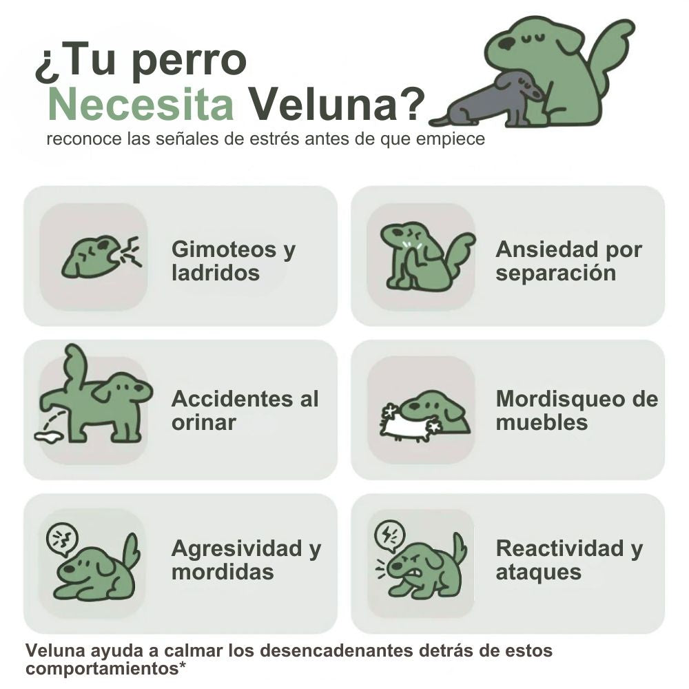 Difusor de Feromonas Veluna para el Alivio de la Ansiedad en Perros