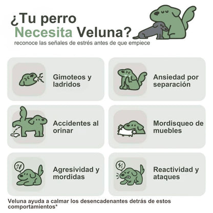 Difusor de Feromonas Veluna para el Alivio de la Ansiedad en Perros