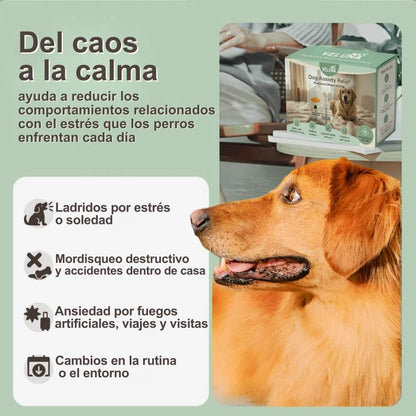 Difusor de Feromonas Veluna para el Alivio de la Ansiedad en Perros