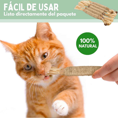 DentaSticks - Palitos Dentales de Silvervine para Gatos