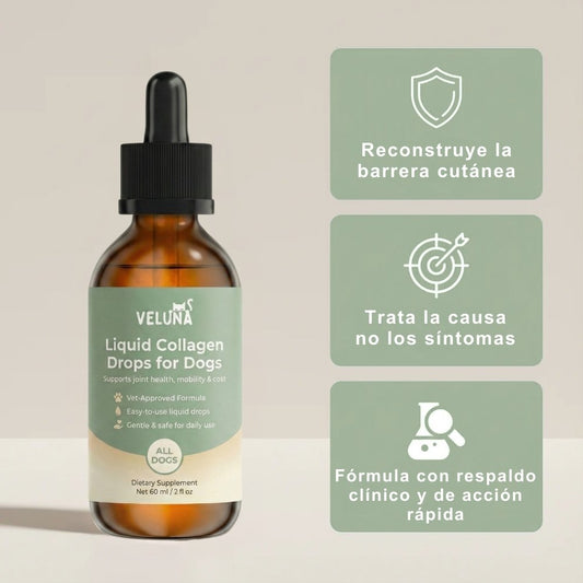 Colágeno Líquido Premium Veluna para Perros