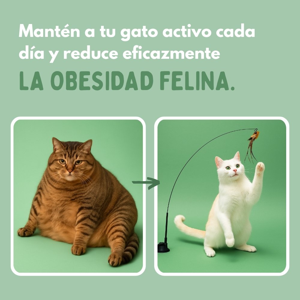 ALAVIVA – Juguete interactivo para gatos, con plumas, suspendido y que rebota