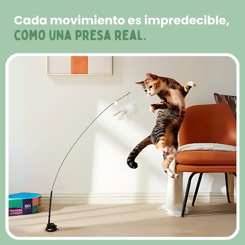 ALAVIVA – Juguete interactivo para gatos, con plumas, suspendido y que rebota