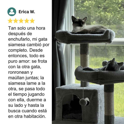 Difusor De Feromonas Relajantes Para Gatos