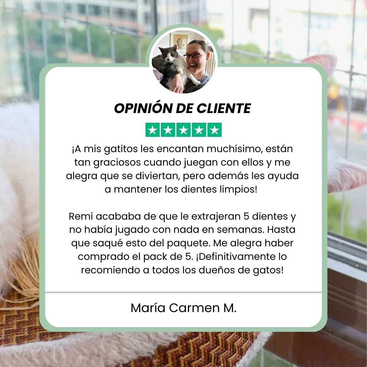 DentaSticks - Palitos Dentales de Silvervine para Gatos