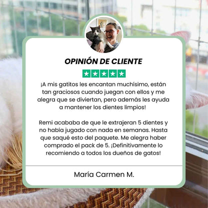 DentaSticks - Palitos Dentales de Silvervine para Gatos