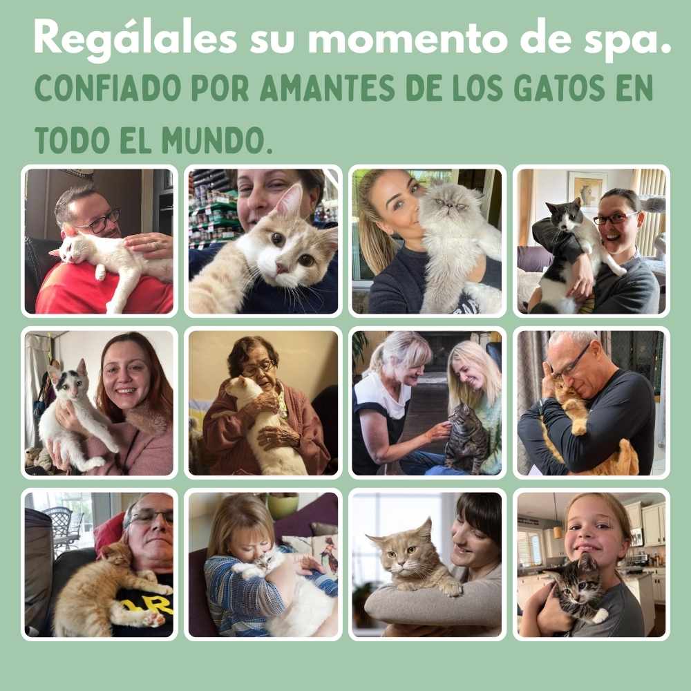 Juguete interactivo de ratón para gatos