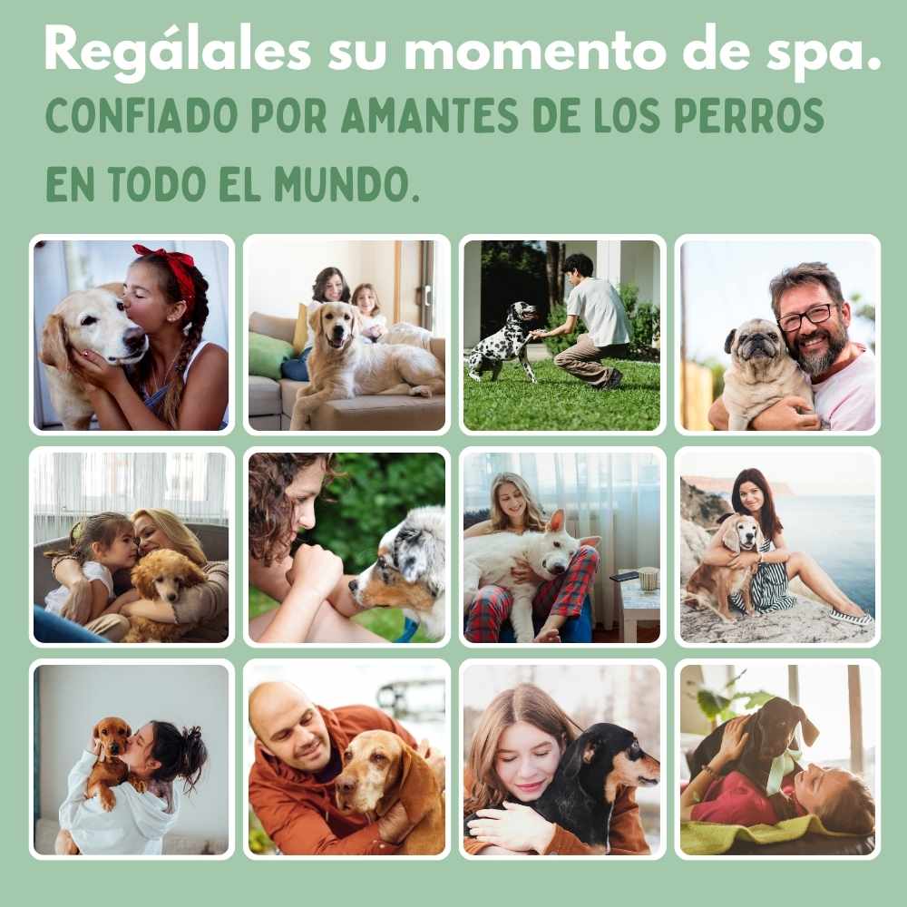 Cepillo de vapor multifuncional 4 en 1 para perros