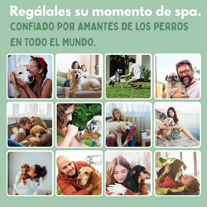 Cepillo de vapor multifuncional 4 en 1 para perros